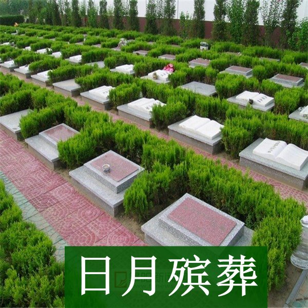 墓地4